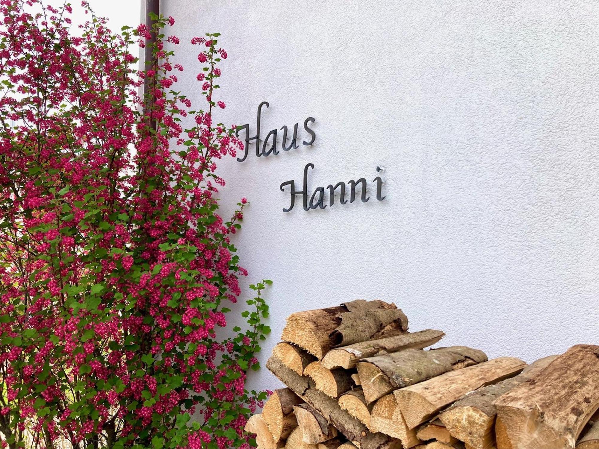 Haus Hanni بادن - فورتمبرغ المظهر الخارجي الصورة